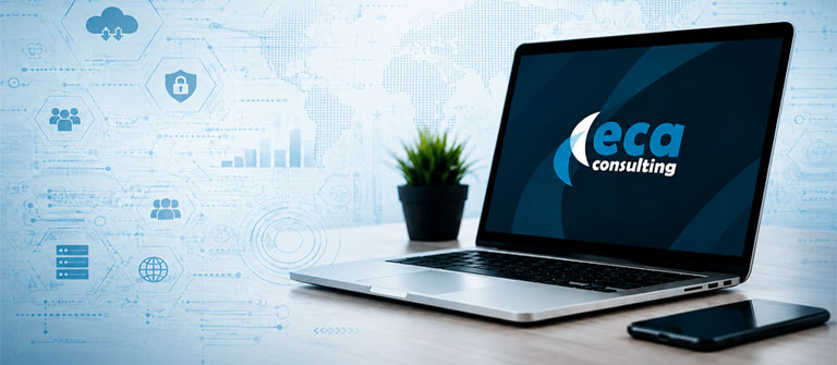 ECA Consulting Software Development